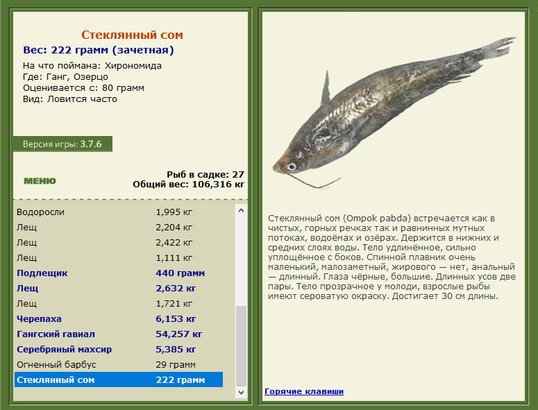 турниры • РУССКАЯ РЫБАЛКА
