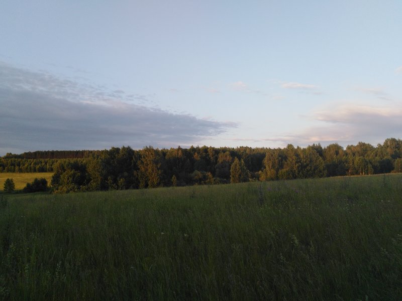  Страница 39 - Форум 