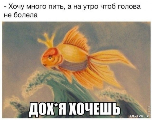 Юмор