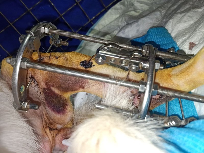 Общий финансовый отчет счетов Матвеевой 