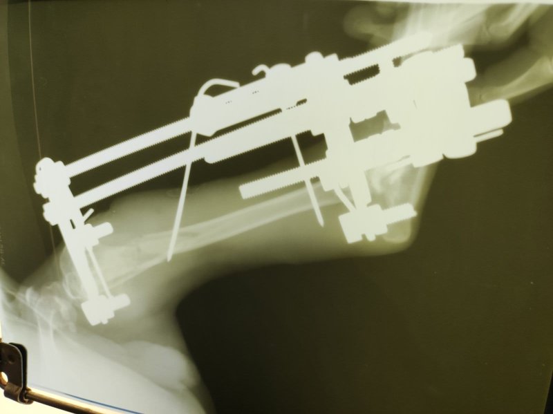 Общий финансовый отчет счетов Матвеевой 