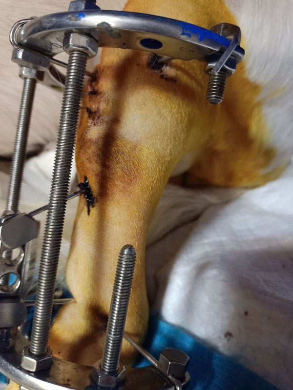 Общий финансовый отчет счетов Матвеевой 