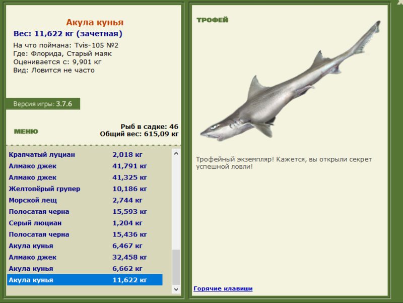 Акула кунья 