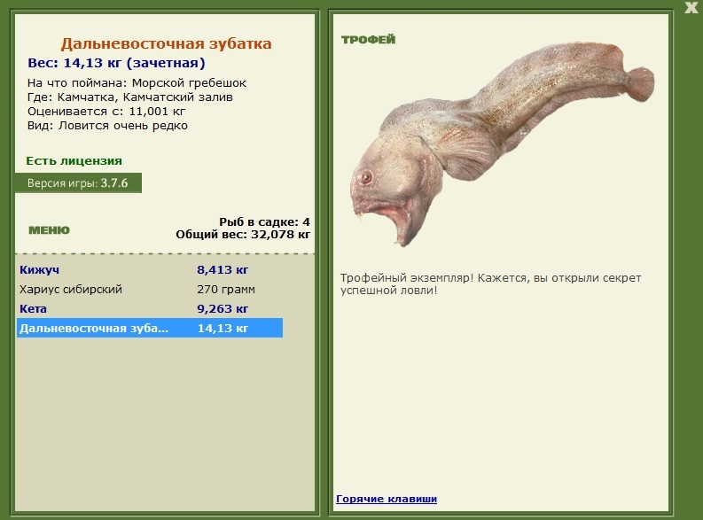 Дальневосточная зубатка 