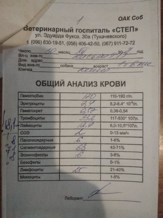 ка с 10.03.2021) • Финансовые отчеты животных ВОЛОНТЕРОВ