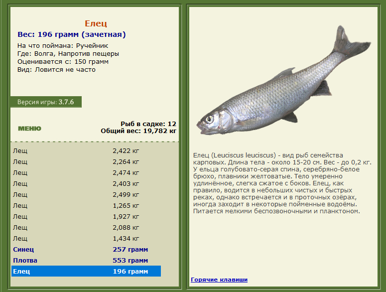 РУССКАЯ РЫБАЛКА Installsoft Edition 