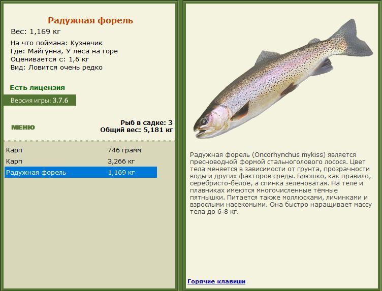 У леса на горе 