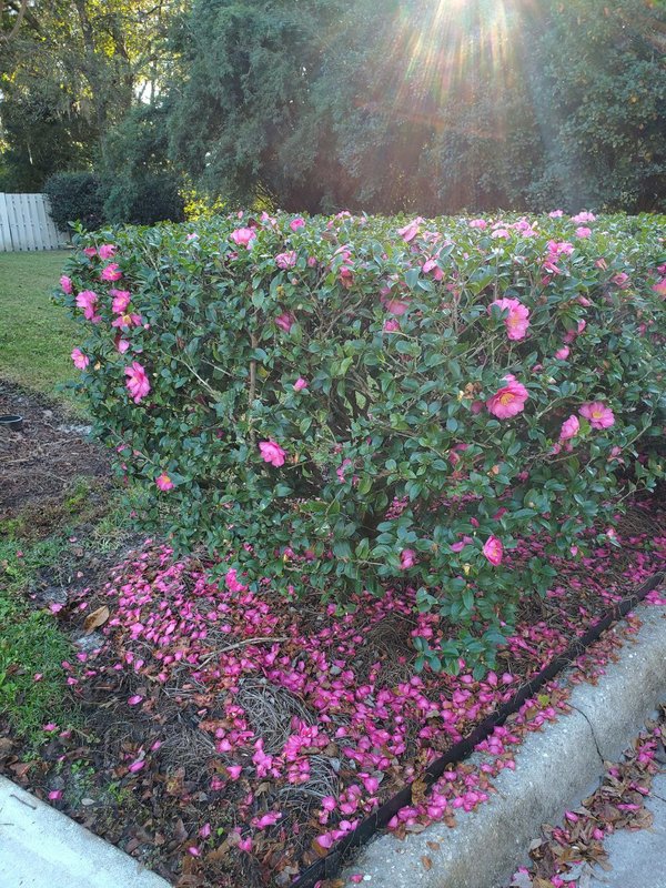  Страница 99 - Форум 