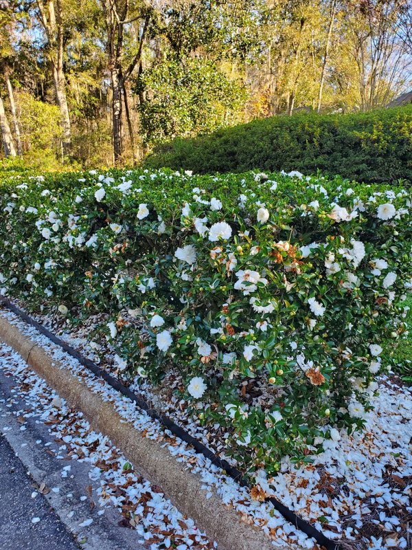  Страница 99 - Форум 