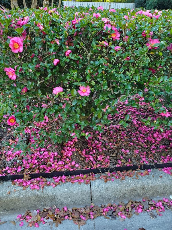  Страница 99 - Форум 