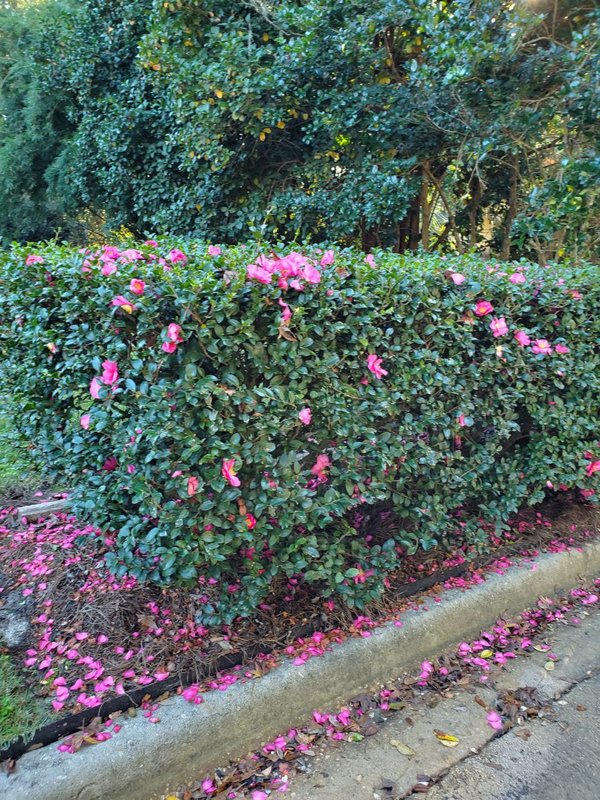  Страница 99 - Форум 