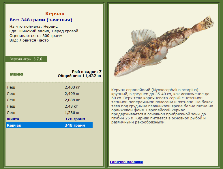 РУССКАЯ РЫБАЛКА Installsoft Edition 