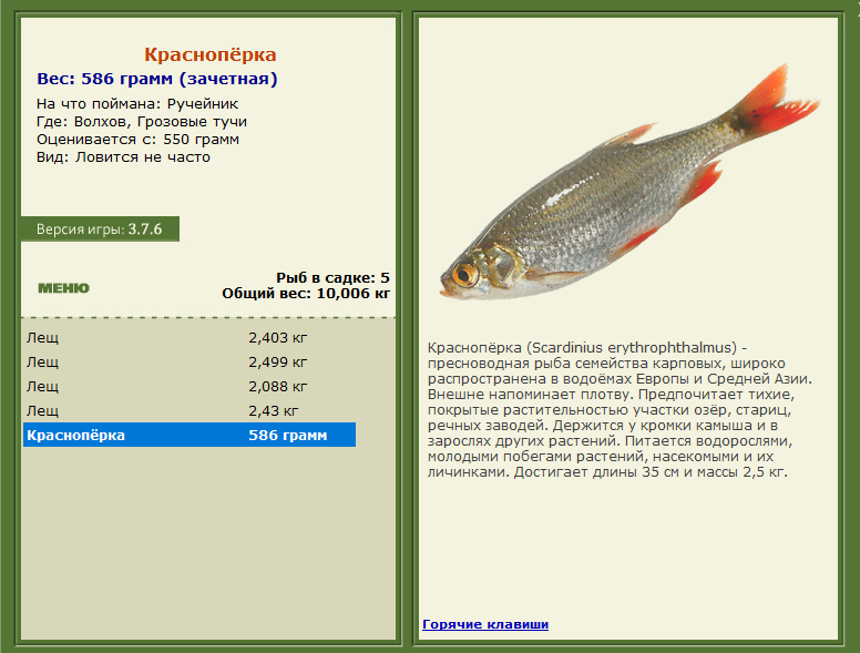 РУССКАЯ РЫБАЛКА Installsoft Edition 