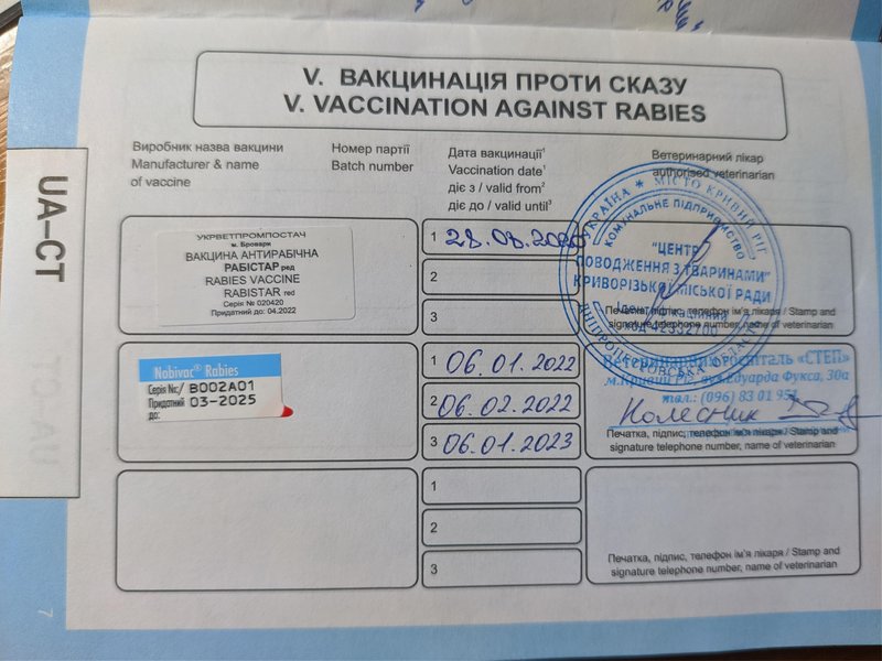 Финансовый отчет Ладушки 