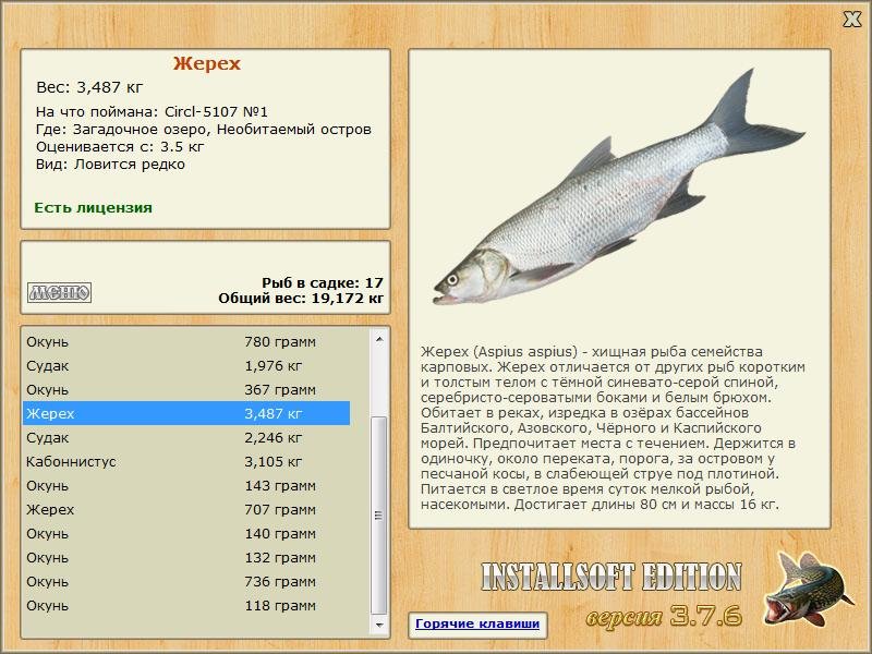 Необитаемый остров 