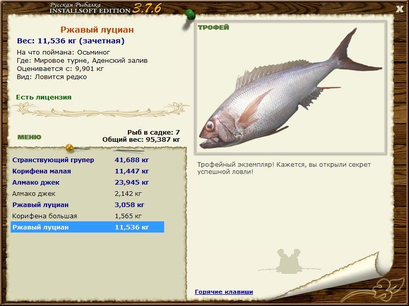 Аденский залив 