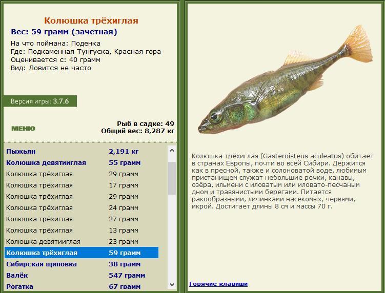 Красная гора 