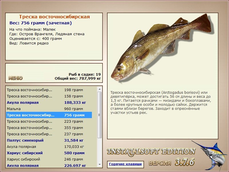 Ледяная стена 