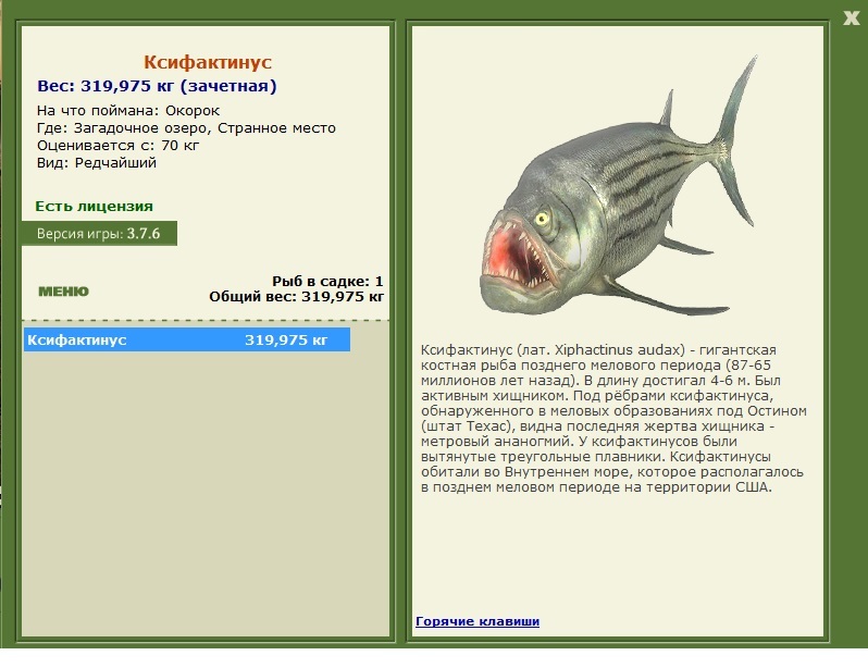 Странное место 