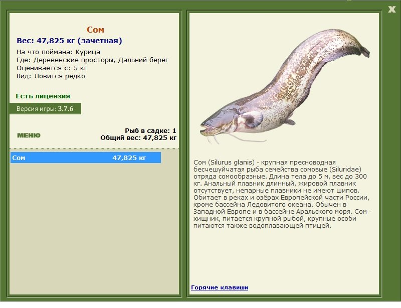 Дальний берег 