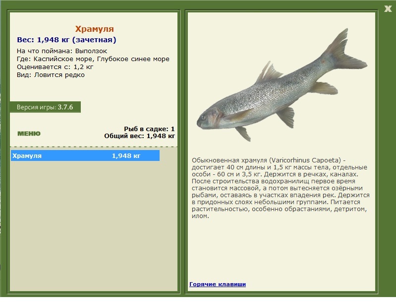 Глубокое синее море 