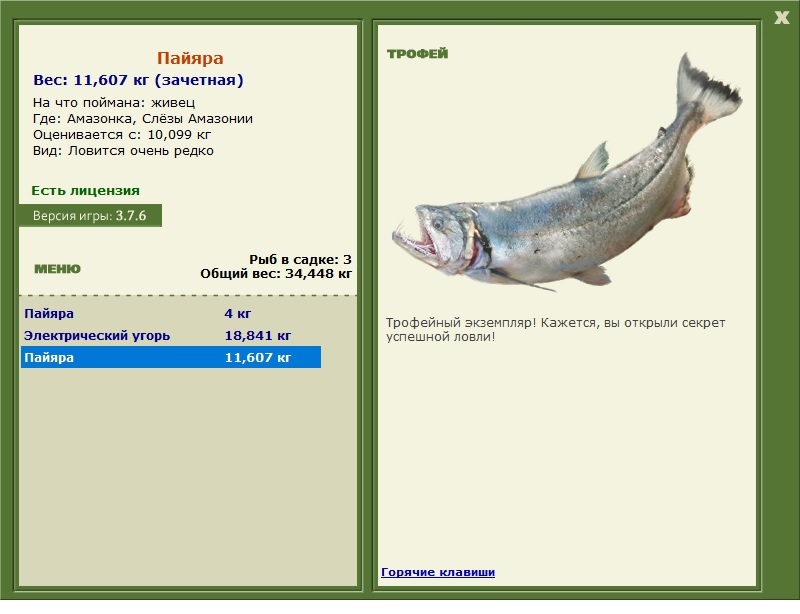 Пайяра 