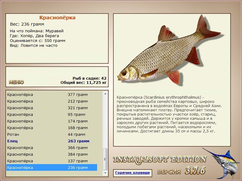 Два берега 