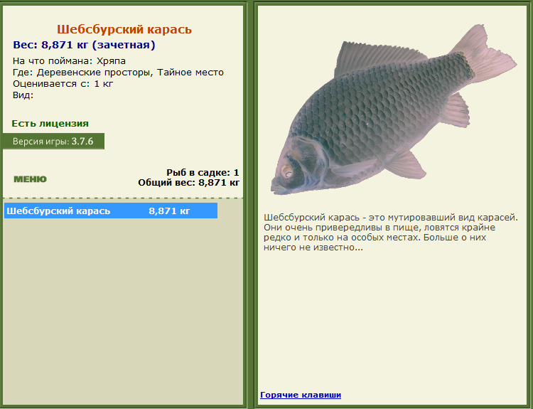 турниры • РУССКАЯ РЫБАЛКА