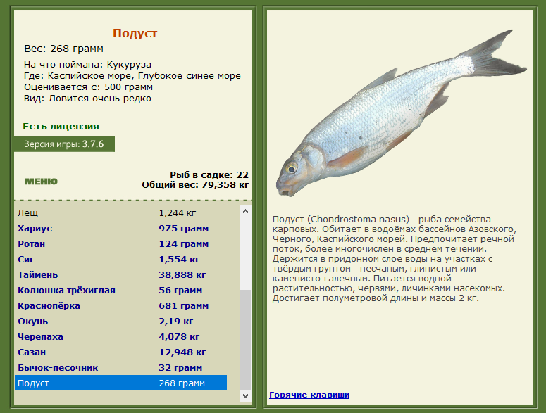 РУССКАЯ РЫБАЛКА Installsoft Edition 