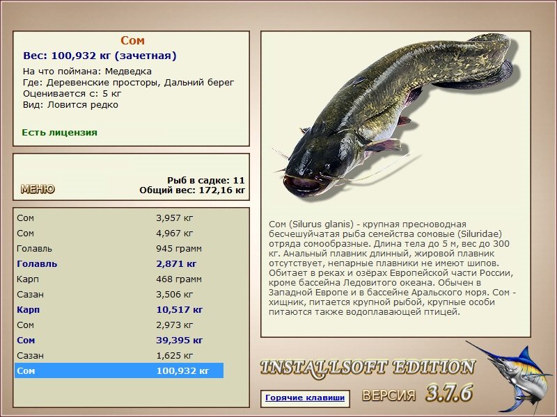 Дальний берег 
