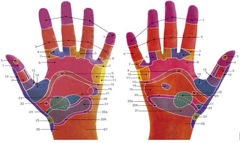 Точки на ладони отвечающие за внутренние органы фото с надписями