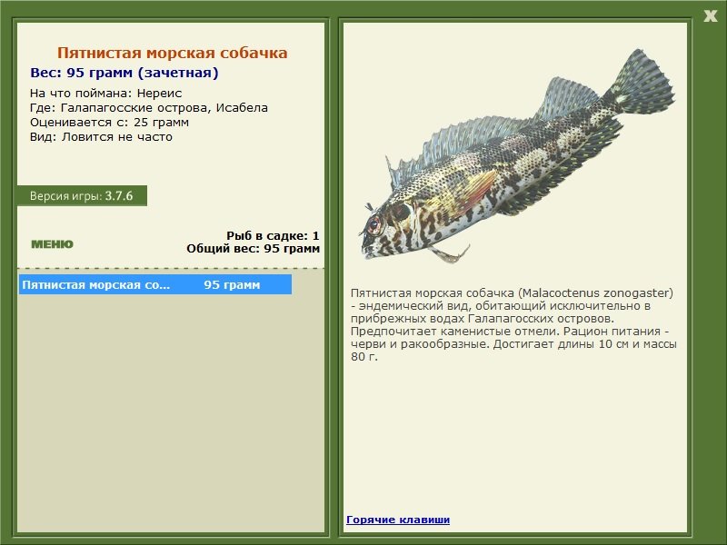 Исабела 