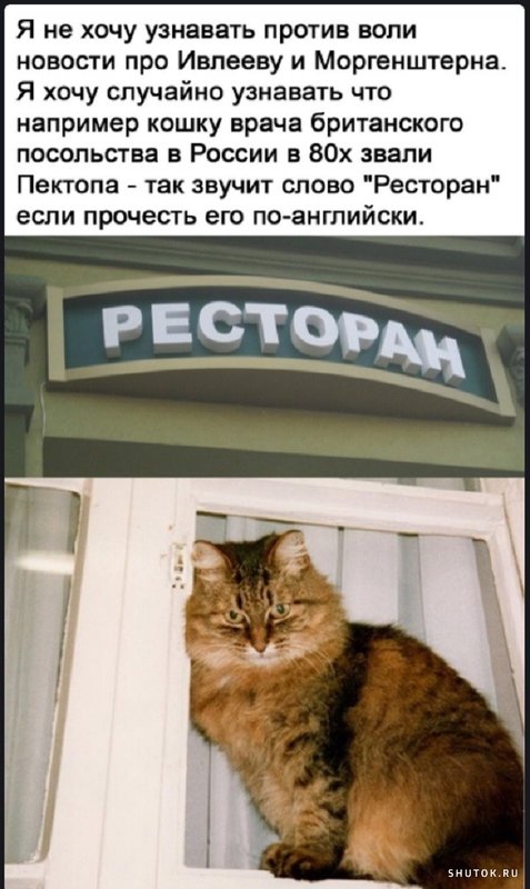 Юмор