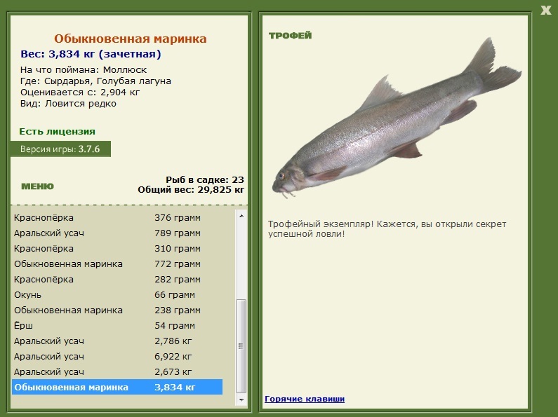 Обыкновенная маринка 