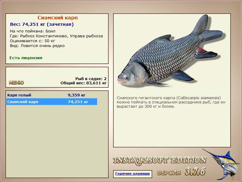 Сиамский карп
