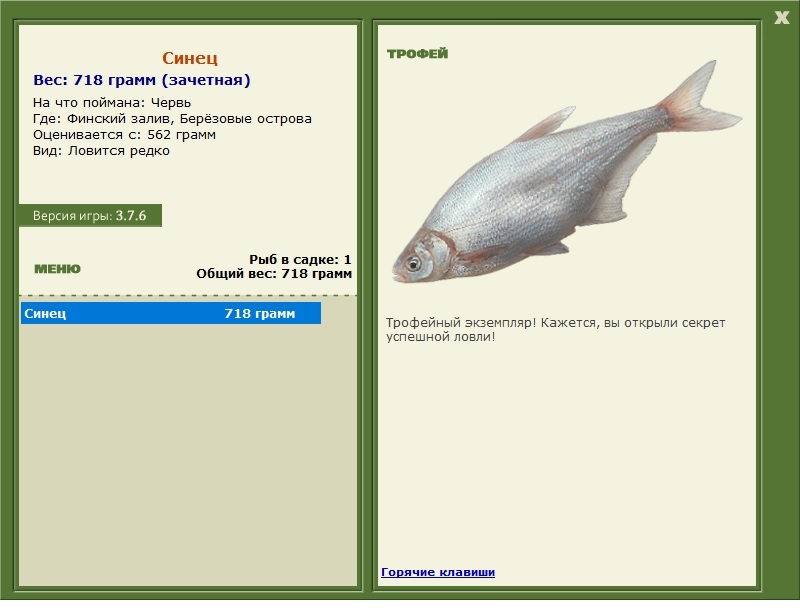 Синец 