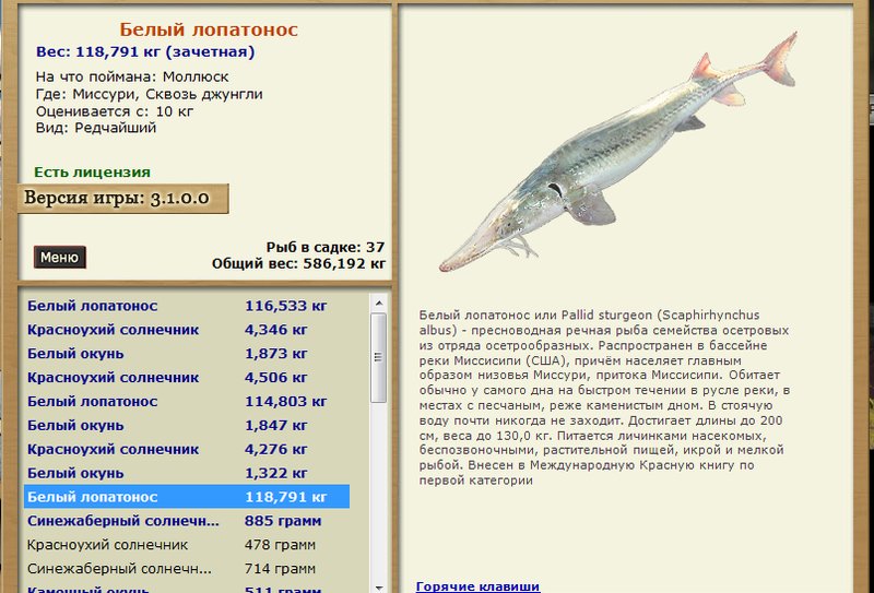 турниры * РУССКАЯ РЫБАЛКА