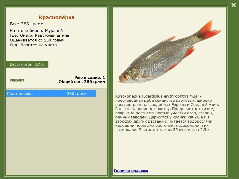 Радужный штиль 