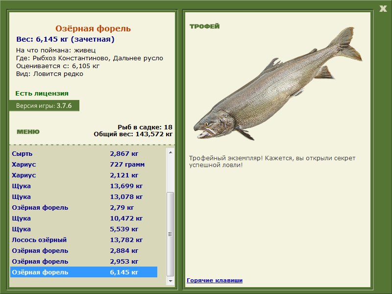 Дальнее русло 