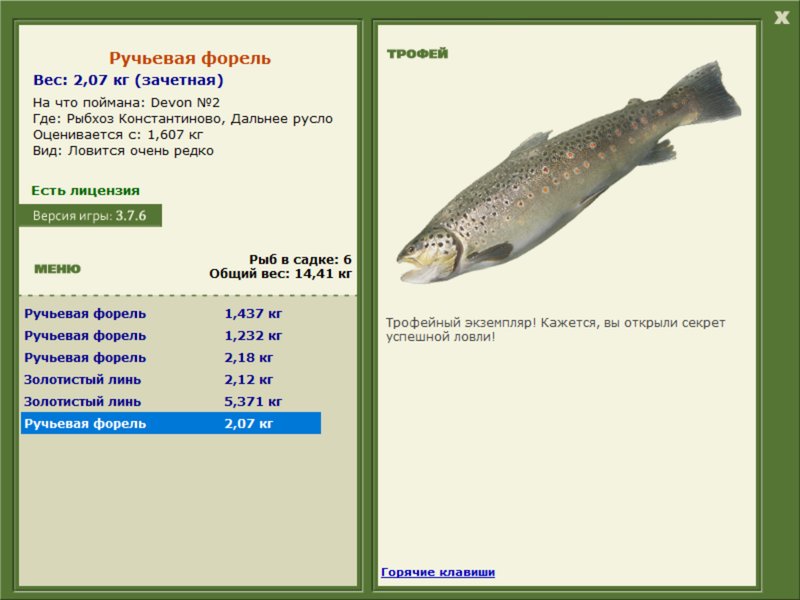 Дальнее русло 