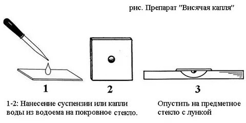  Микроскоп