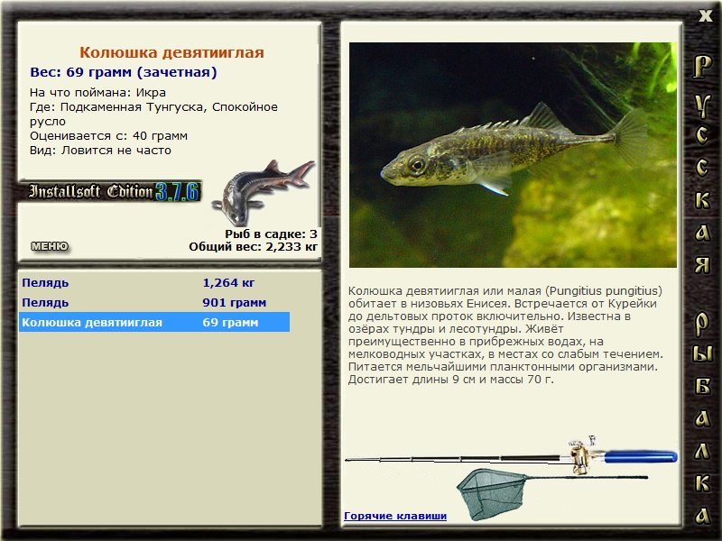 Спокойное русло 