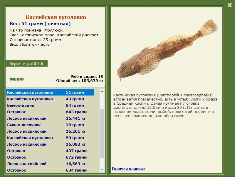 Каспийское море 