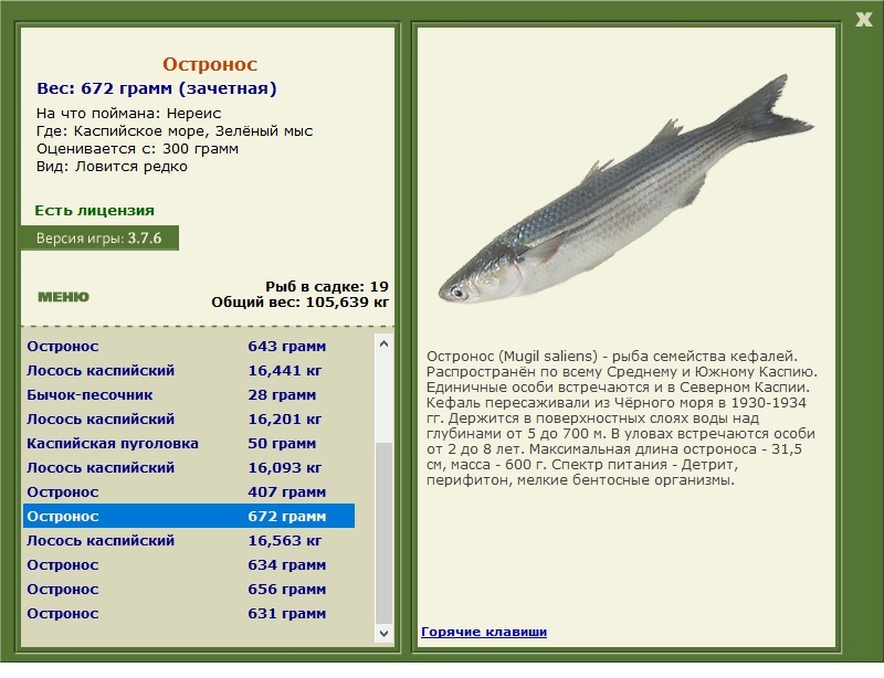 Каспийское море 