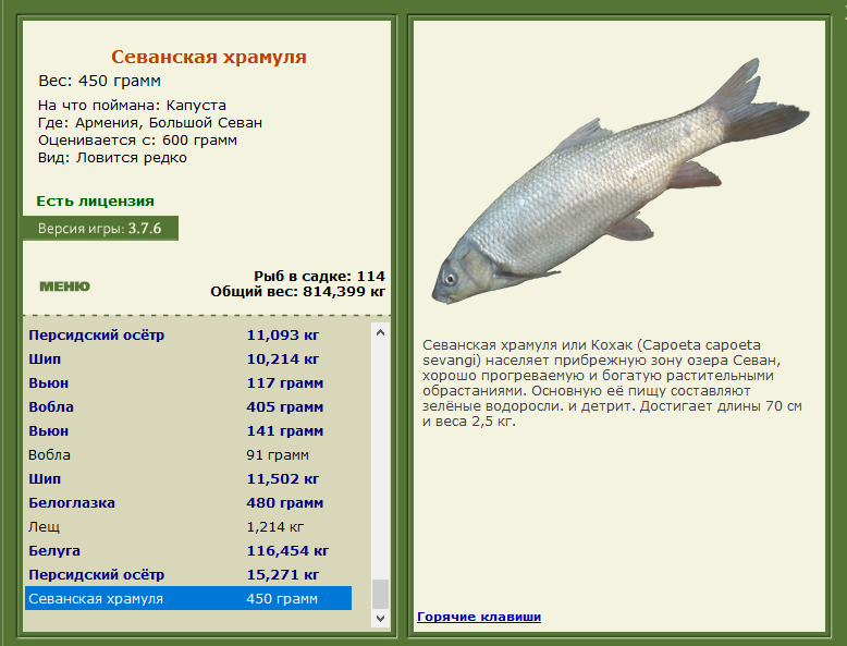 РУССКАЯ РЫБАЛКА Installsoft Edition 