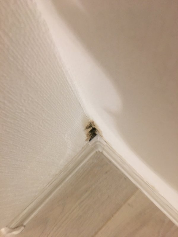  Страница 533 - Снос пятиэтажек