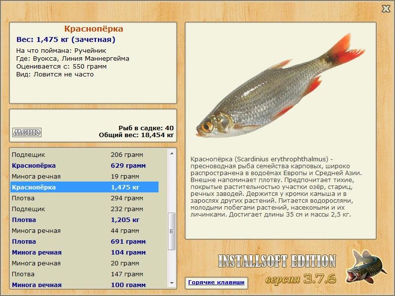 Линия Маннергейма 