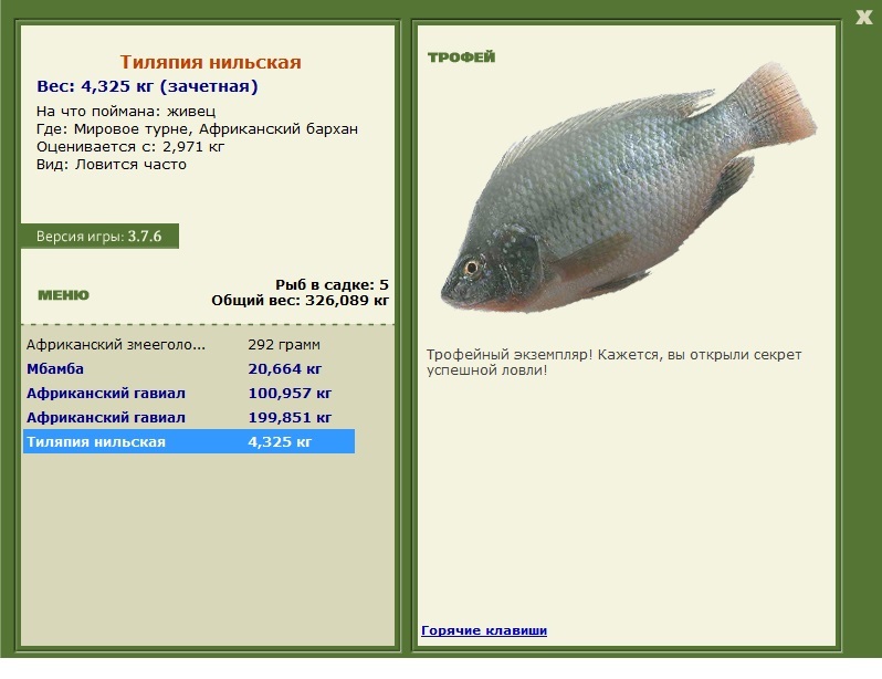 Африканский бархан 