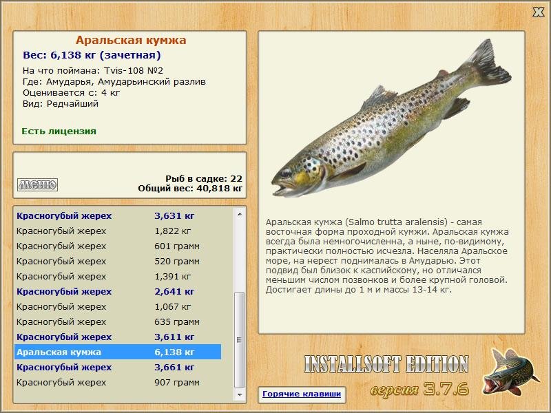 Амударьинский разлив 