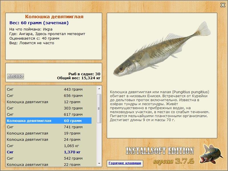 Здесь пролетал метеорит 